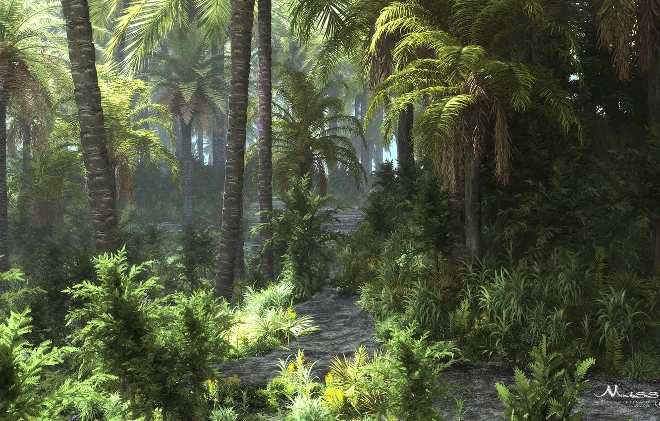 Photo wallpaper forest, nature, vegetation, jungle, tropicana