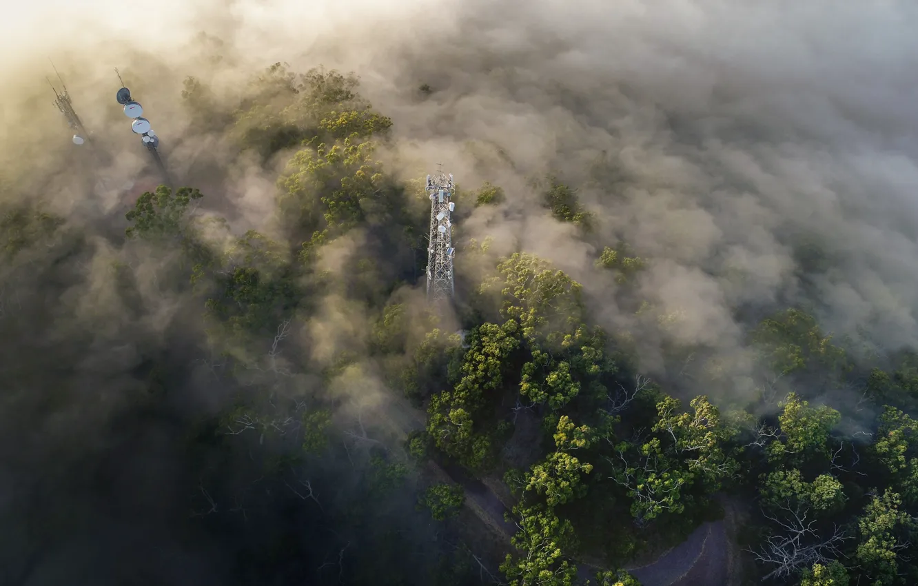Photo wallpaper forest, clouds, light, trees, fog, height, antenna, morning