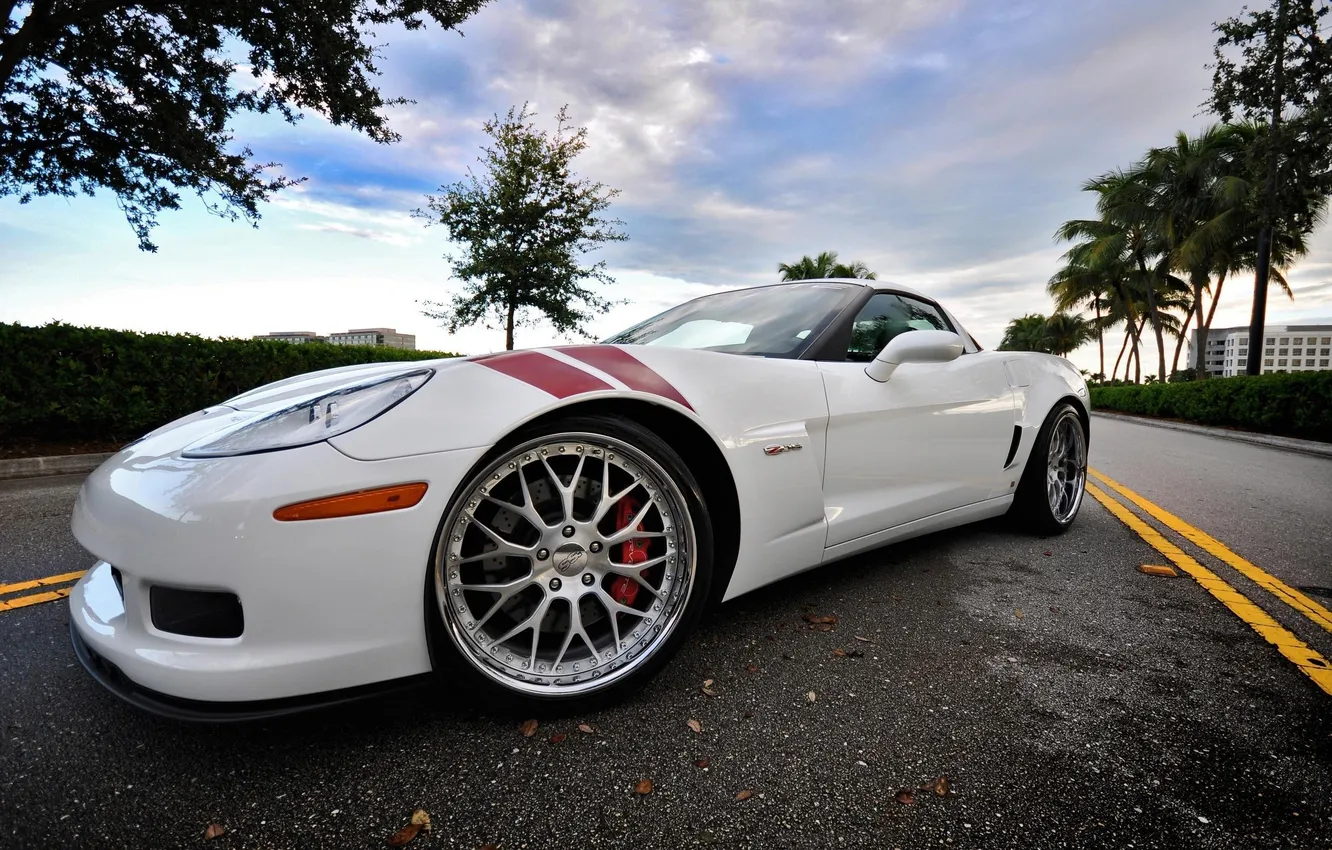Photo wallpaper road, trees, strip, Corvette