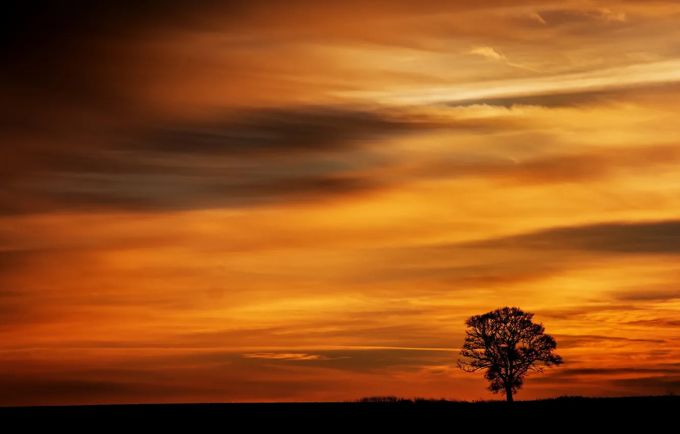 Photo wallpaper the sky, landscape, sunset