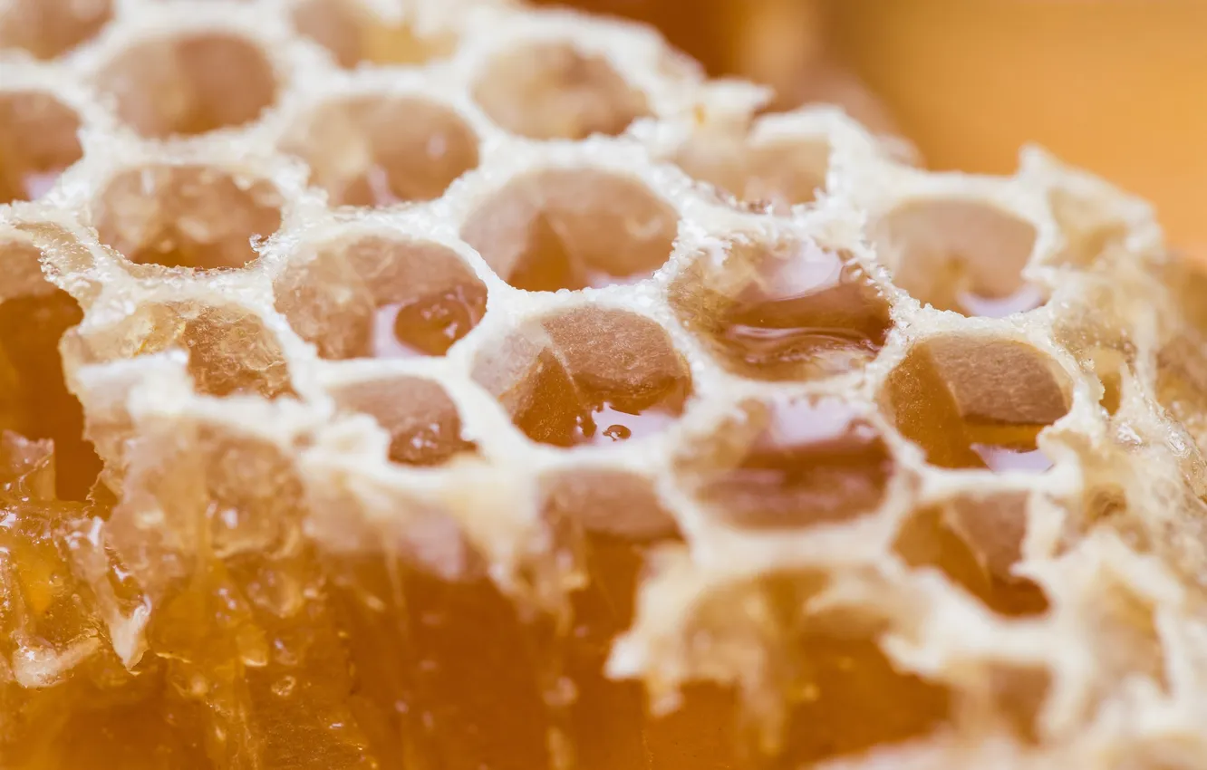 Photo wallpaper macro, honey, Sweet Gold
