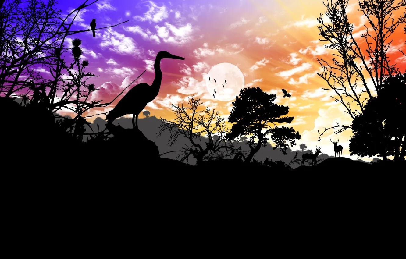 Photo wallpaper animals, the sky, clouds, trees, landscape, sunset, nature, collage