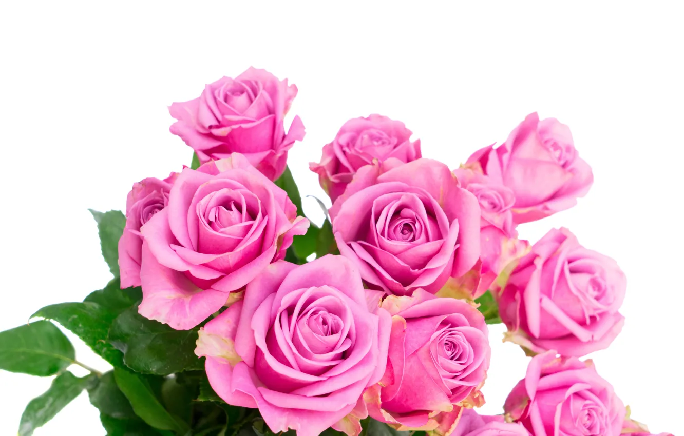 Photo wallpaper roses, bouquet, pink, flowers, roses, pink roses