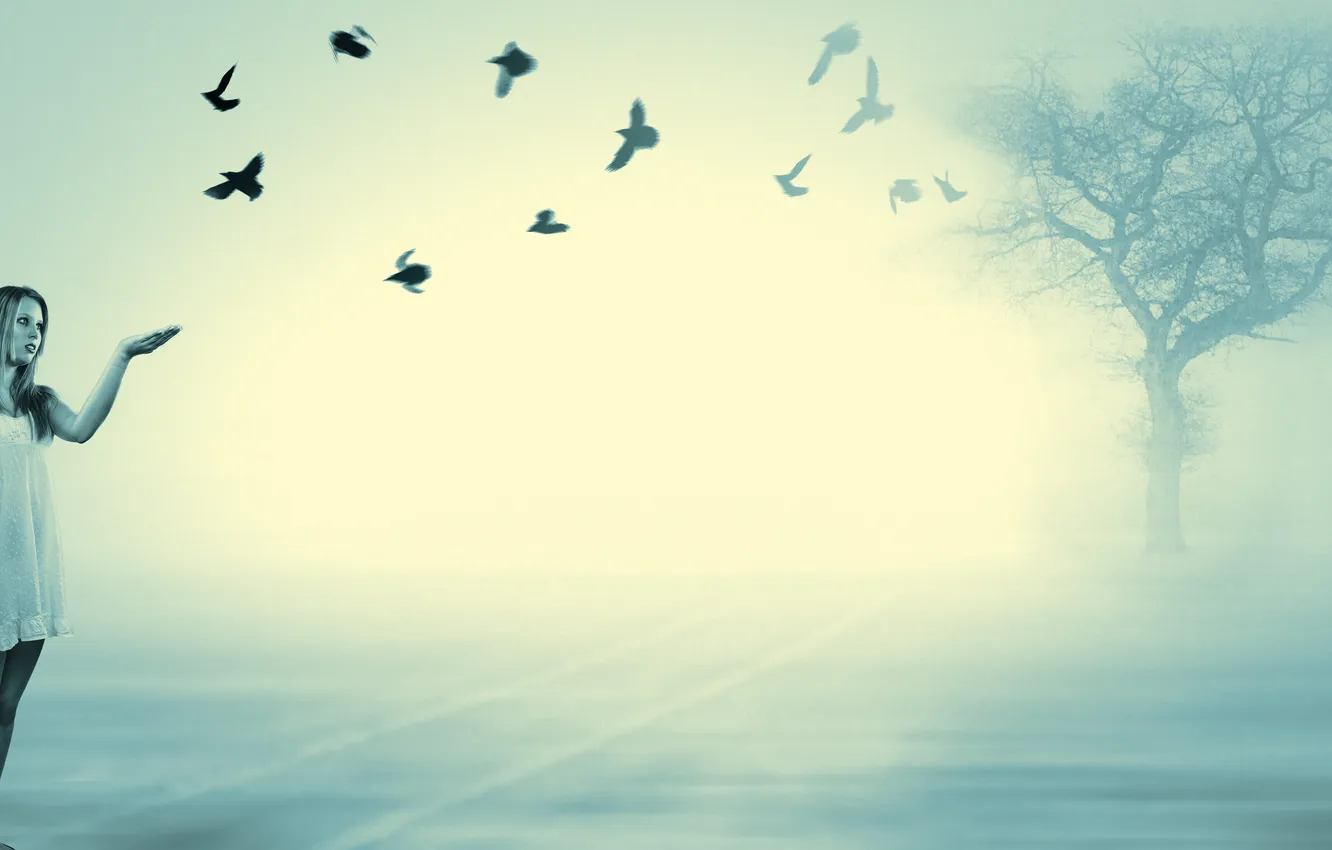 Photo wallpaper girl, background, bird