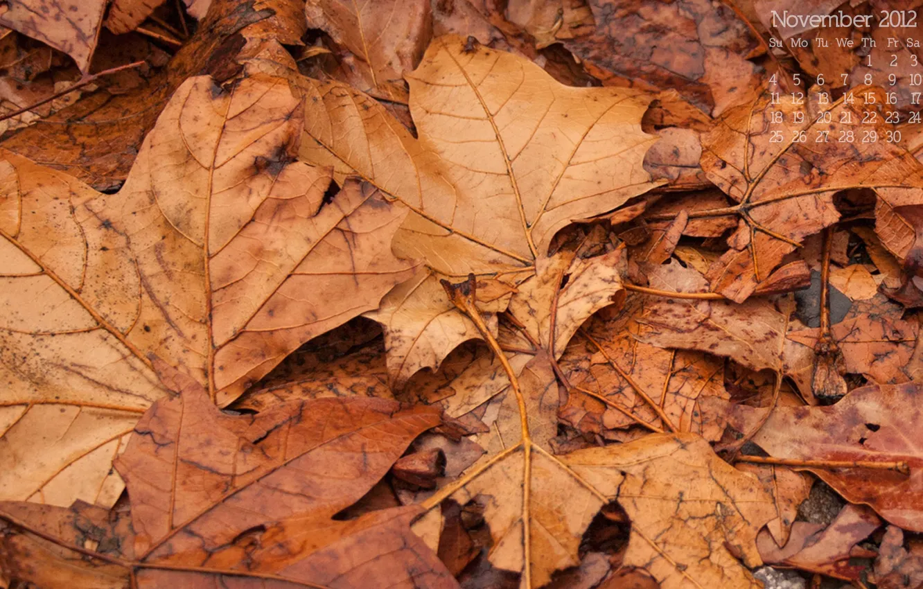 Photo wallpaper autumn, leaves, foliage, 2012, calendar, number, November, november