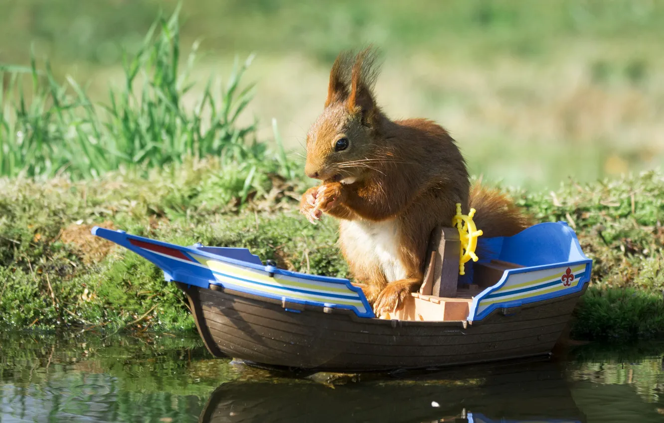 Photo wallpaper grass, look, water, nature, pose, boat, toy, moss