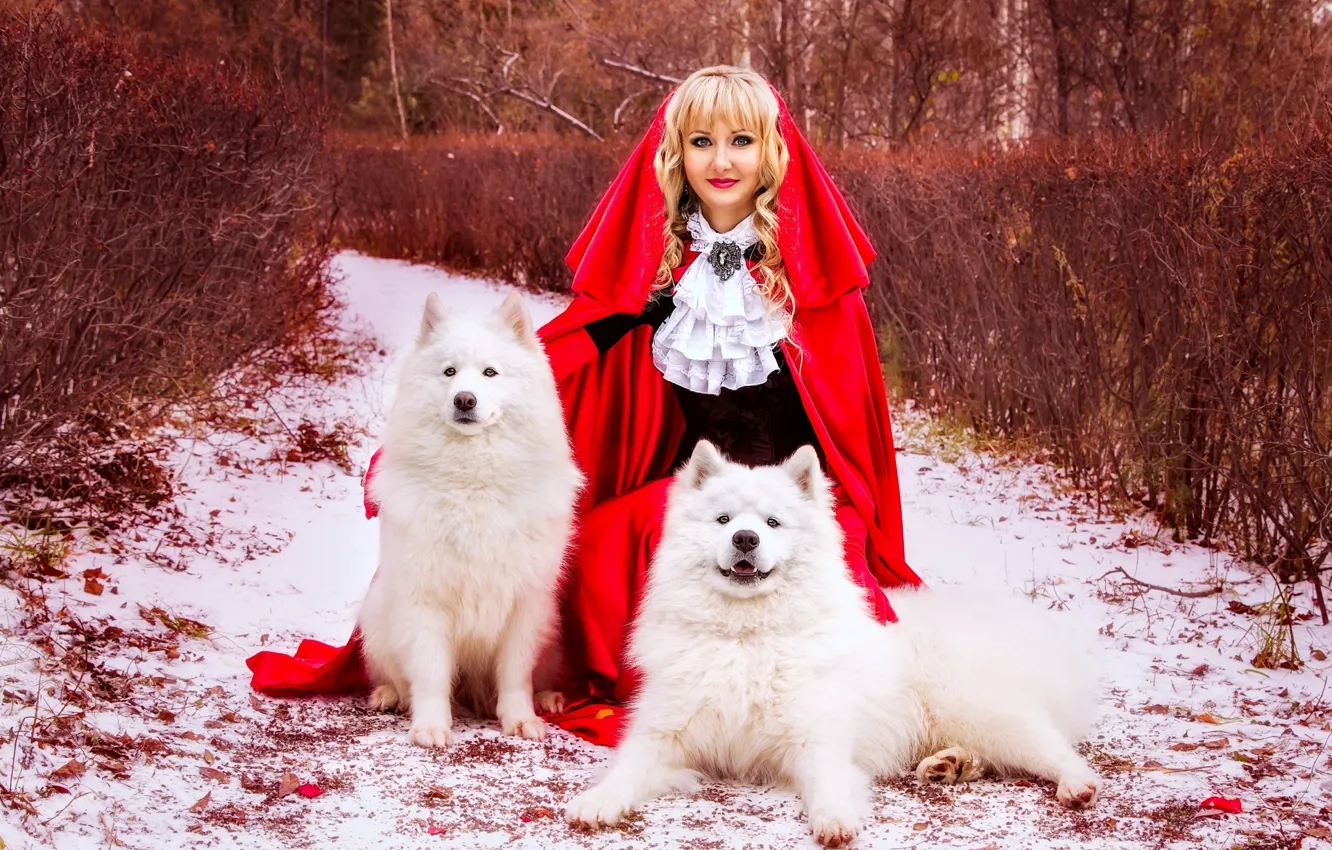 Photo wallpaper dog, blonde, cloak