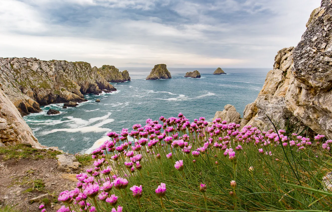 Photo wallpaper sea, summer, clouds, flowers, stones, rocks, shore, coast