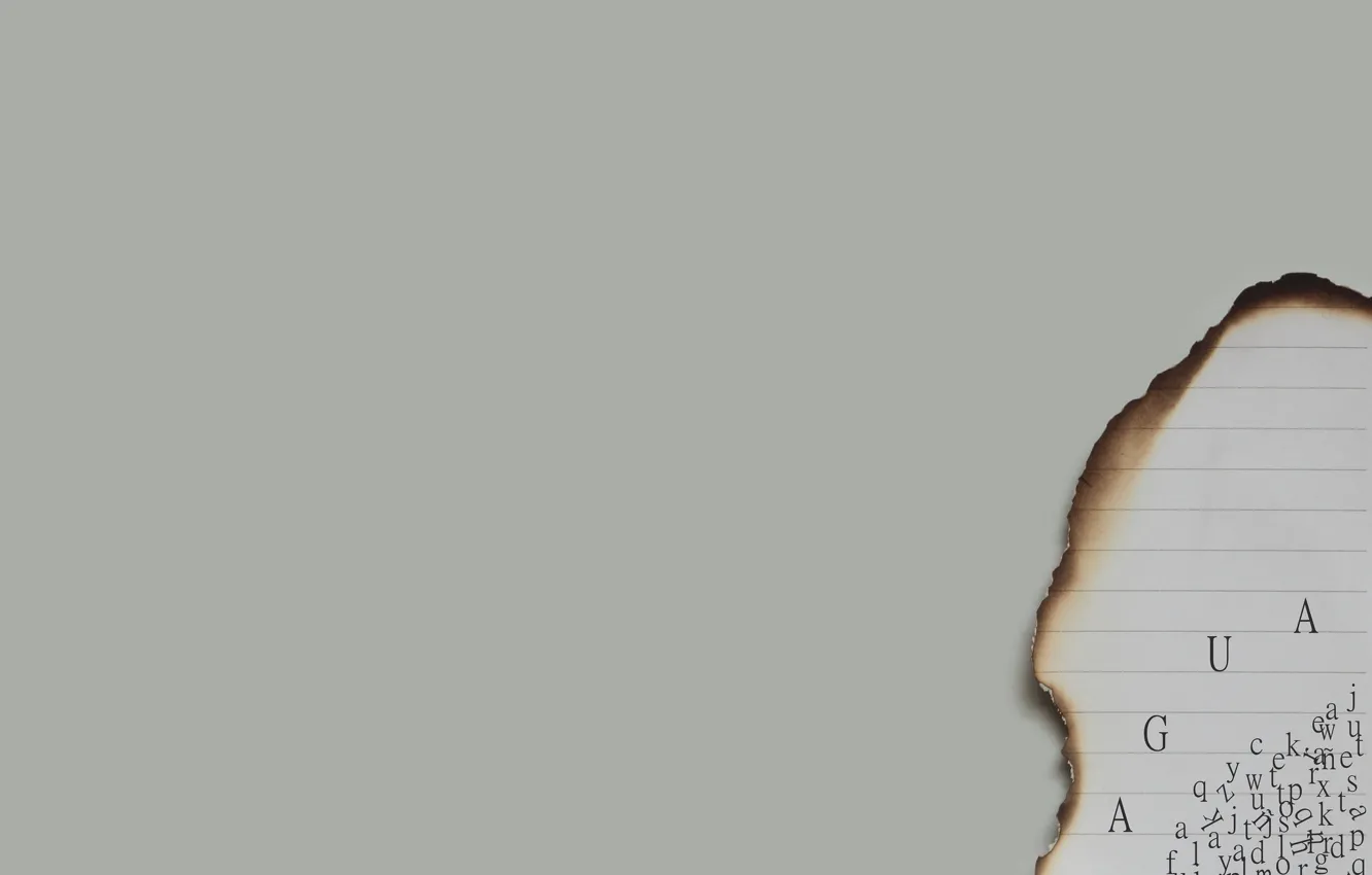 Photo wallpaper leaves, paper, letters