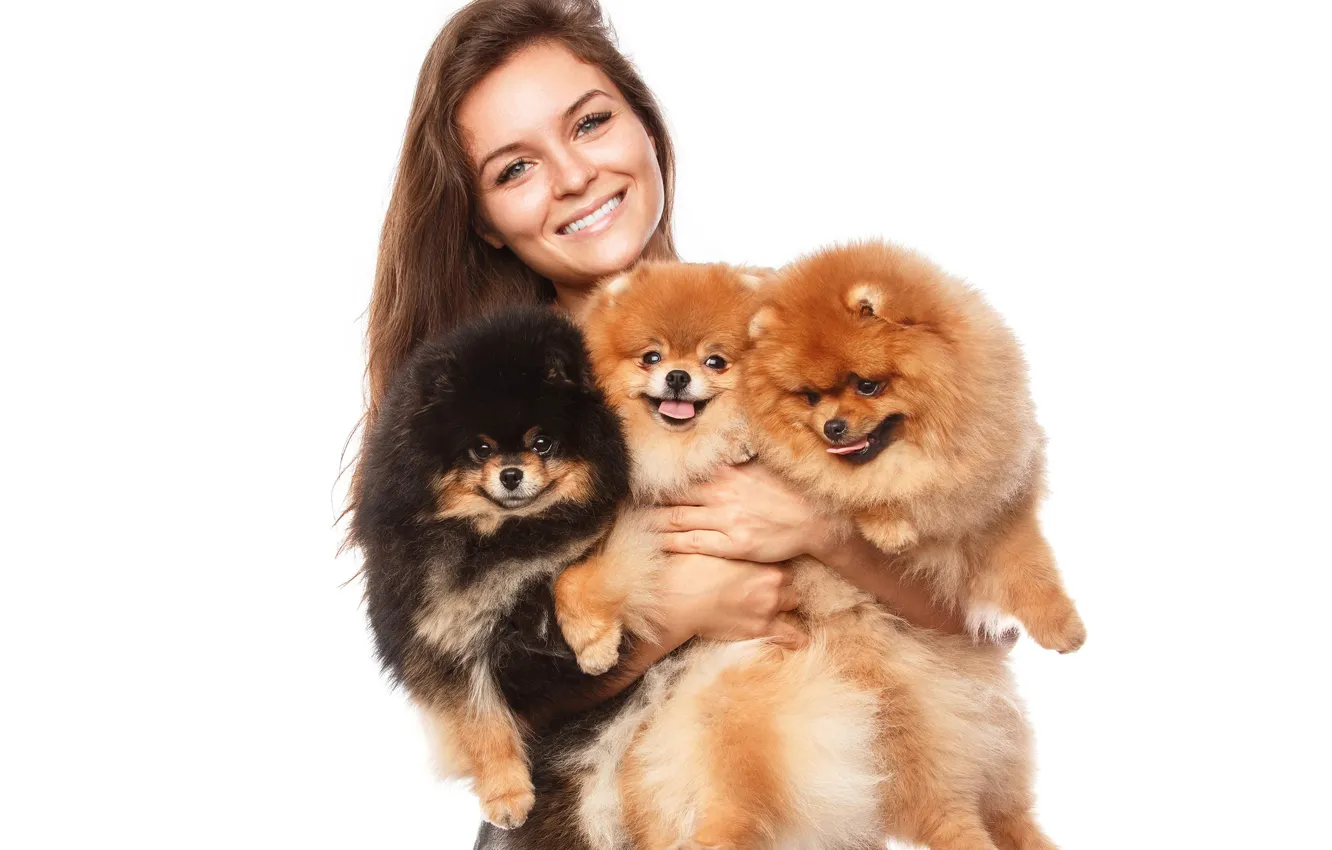 Photo wallpaper dogs, girl, smile, Spitz