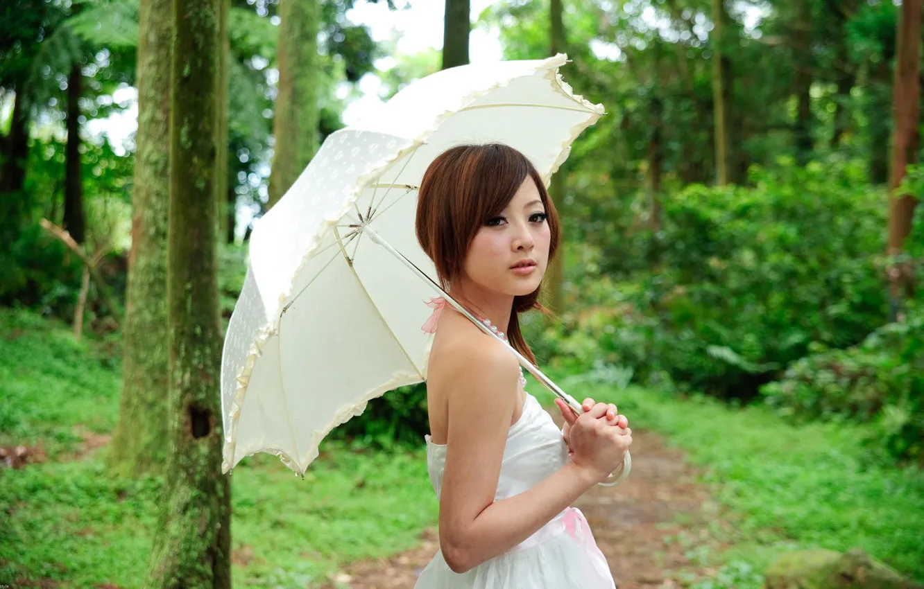 Photo wallpaper forest, girl, rain, umbrella, Asian