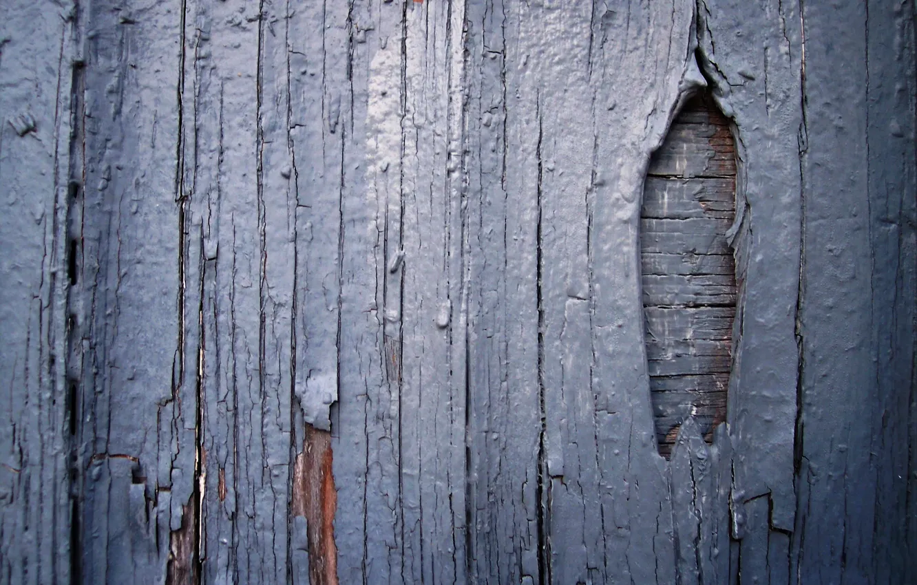 Photo wallpaper paint, Board, the fence