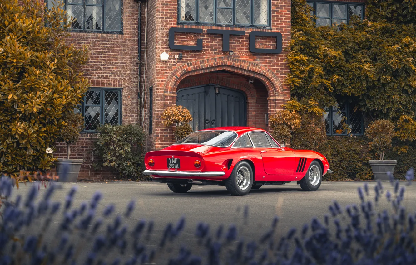 Photo wallpaper Ferrari, 1963, 250, rear view, Ferrari 250 GT Fantuzzi Berlinetta Luxury