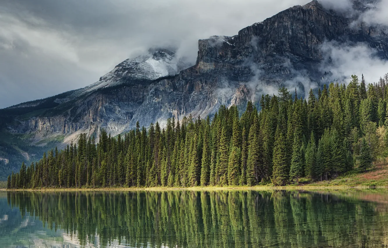 Photo wallpaper forest, the sky, clouds, mountains, fog, lake, reflection, rocks