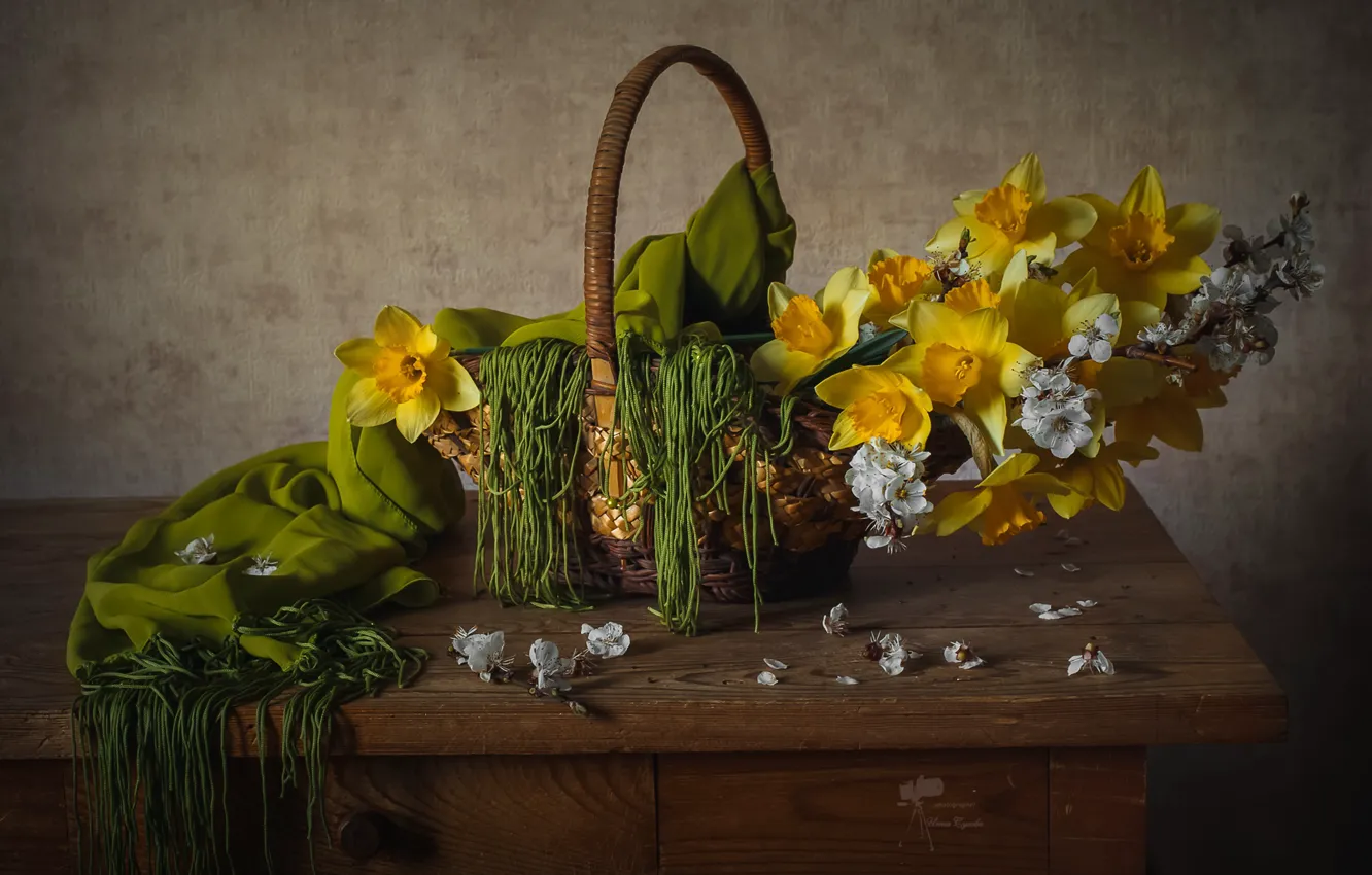Photo wallpaper cherry, basket, daffodils