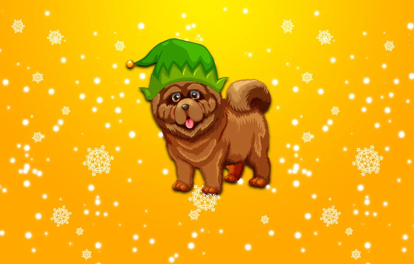 Photo wallpaper snow, holiday, hat, new year, minimalism, 2018, The Year Of The Dog