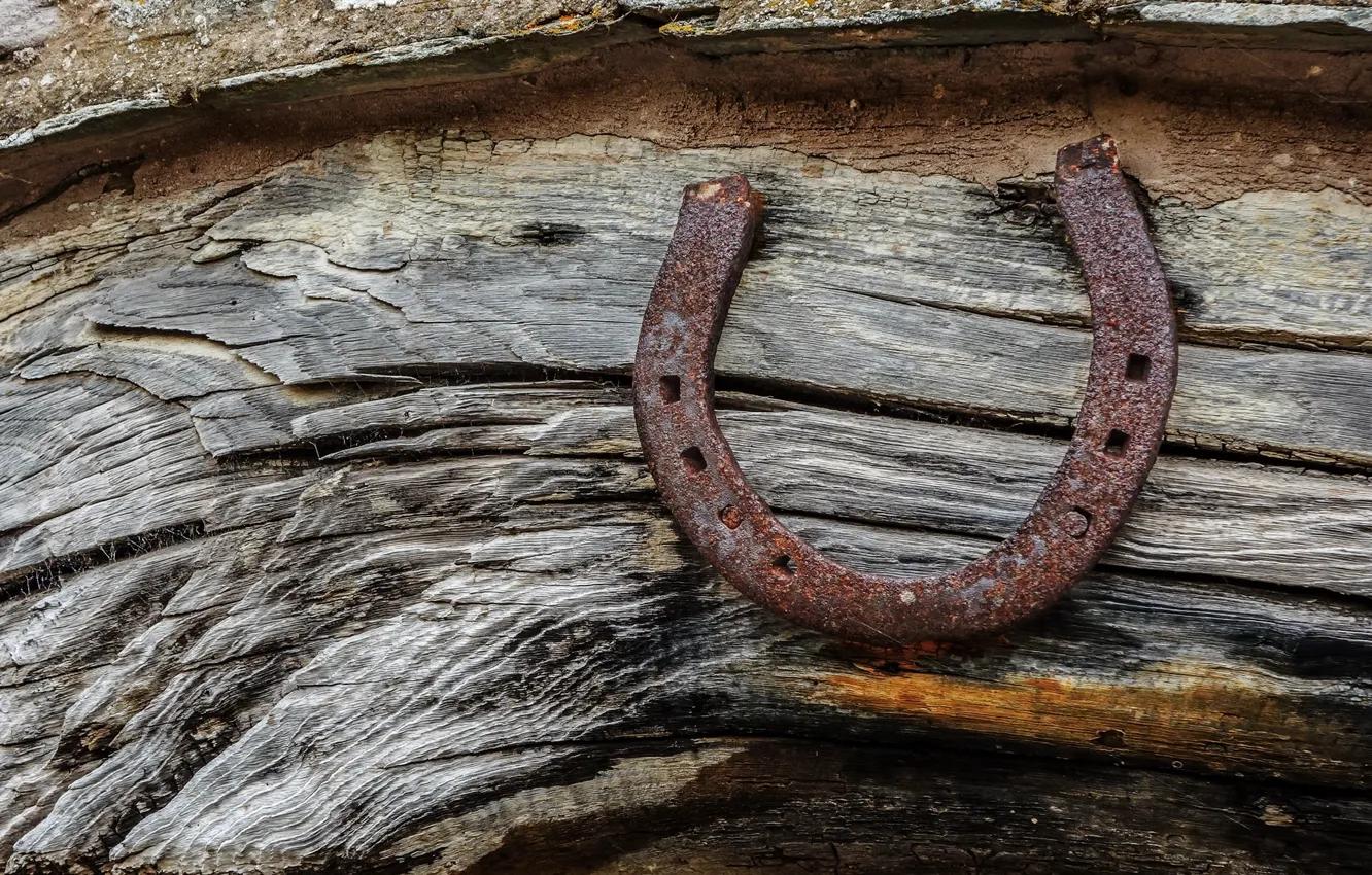 Photo wallpaper background, wall, horseshoe