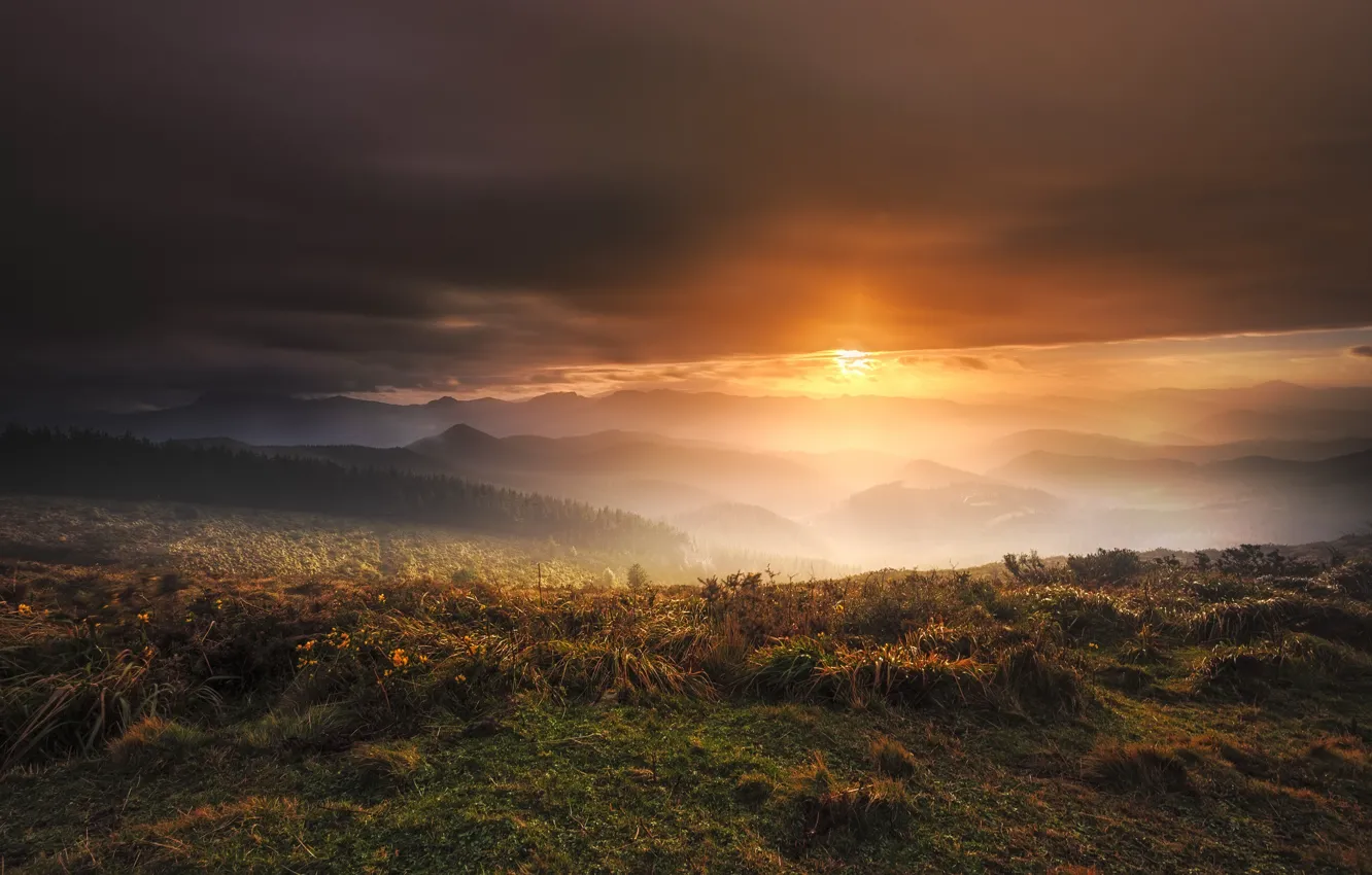 Photo wallpaper field, sunset, night, nature