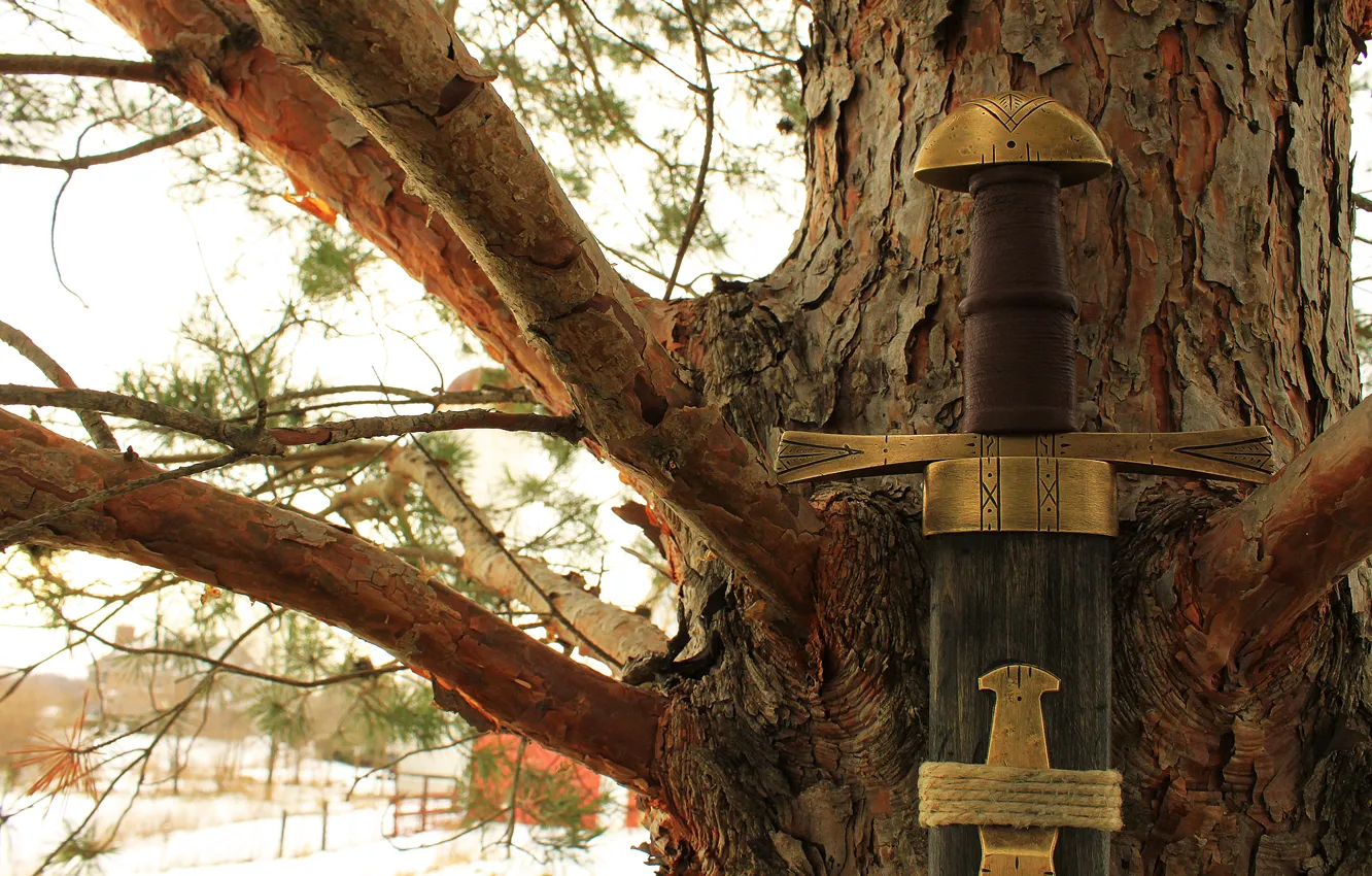 Photo wallpaper sword, Vikings, Barbarian, Norse