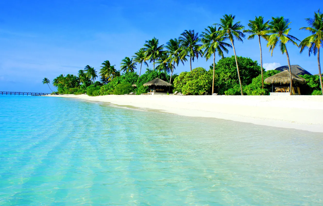 Photo wallpaper beach, ocean, palm trees, clear water, tropic