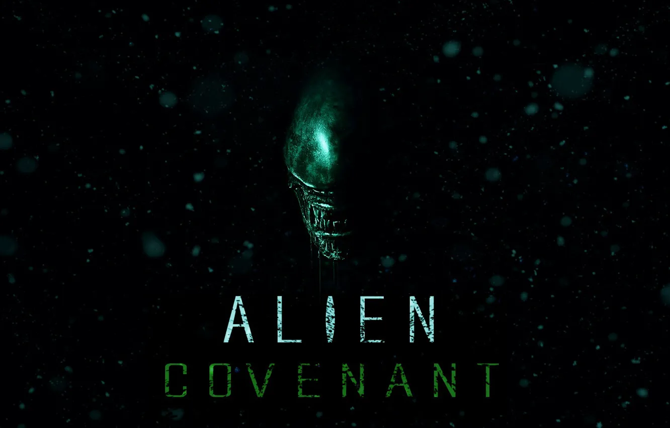 Photo wallpaper green, space, wallpaper, horror, Action, black, exoskeleton, monster