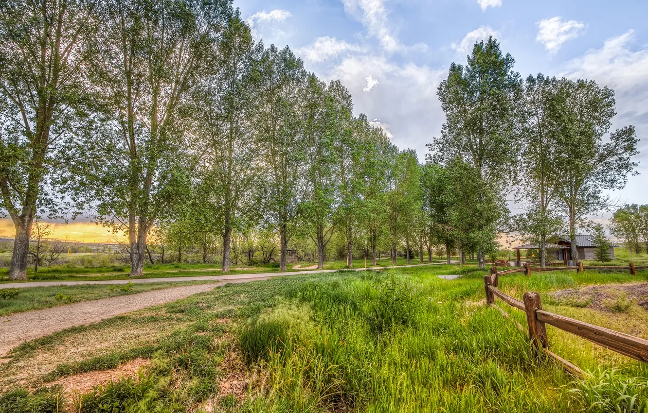 Photo wallpaper road, summer, grass, trees, the fence, house