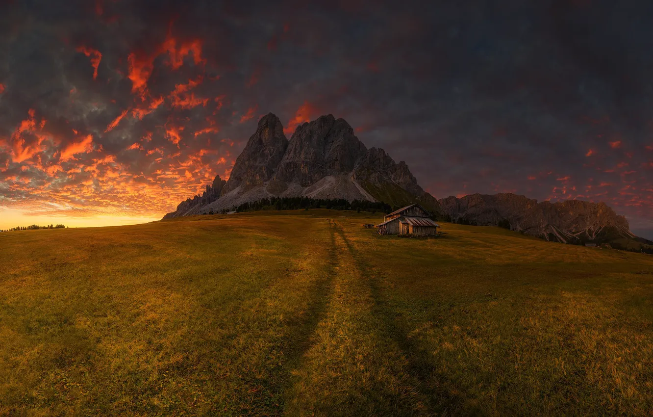 Photo wallpaper road, field, forest, mountains, Alps, house