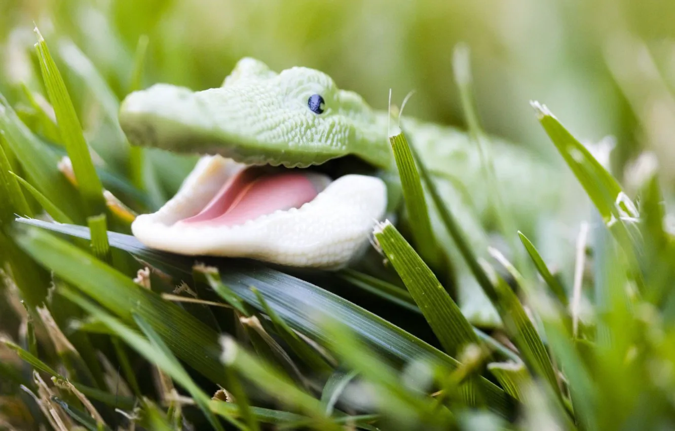 Photo wallpaper grass, crocodile, Toy