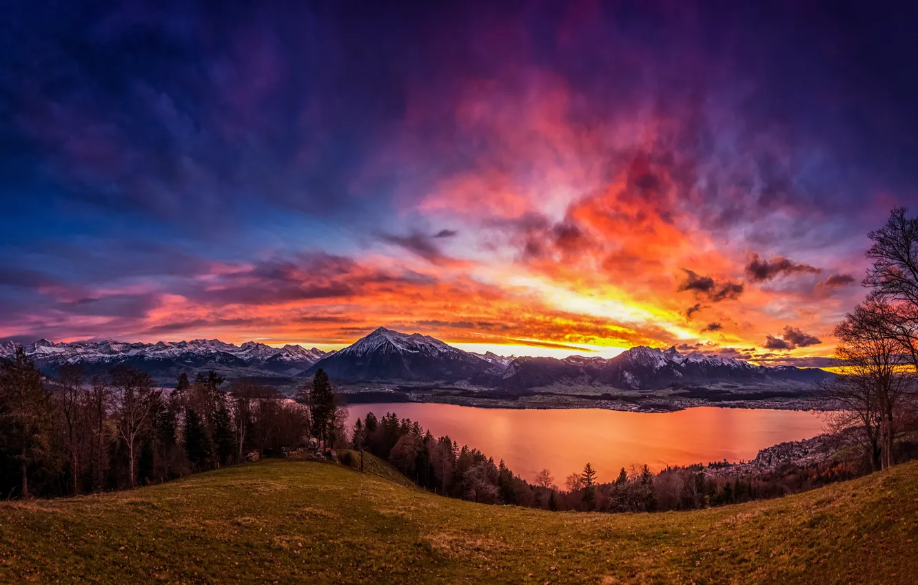 Photo wallpaper the sky, trees, sunset, mountains, lake, Switzerland, Switzerland, Lake Thun