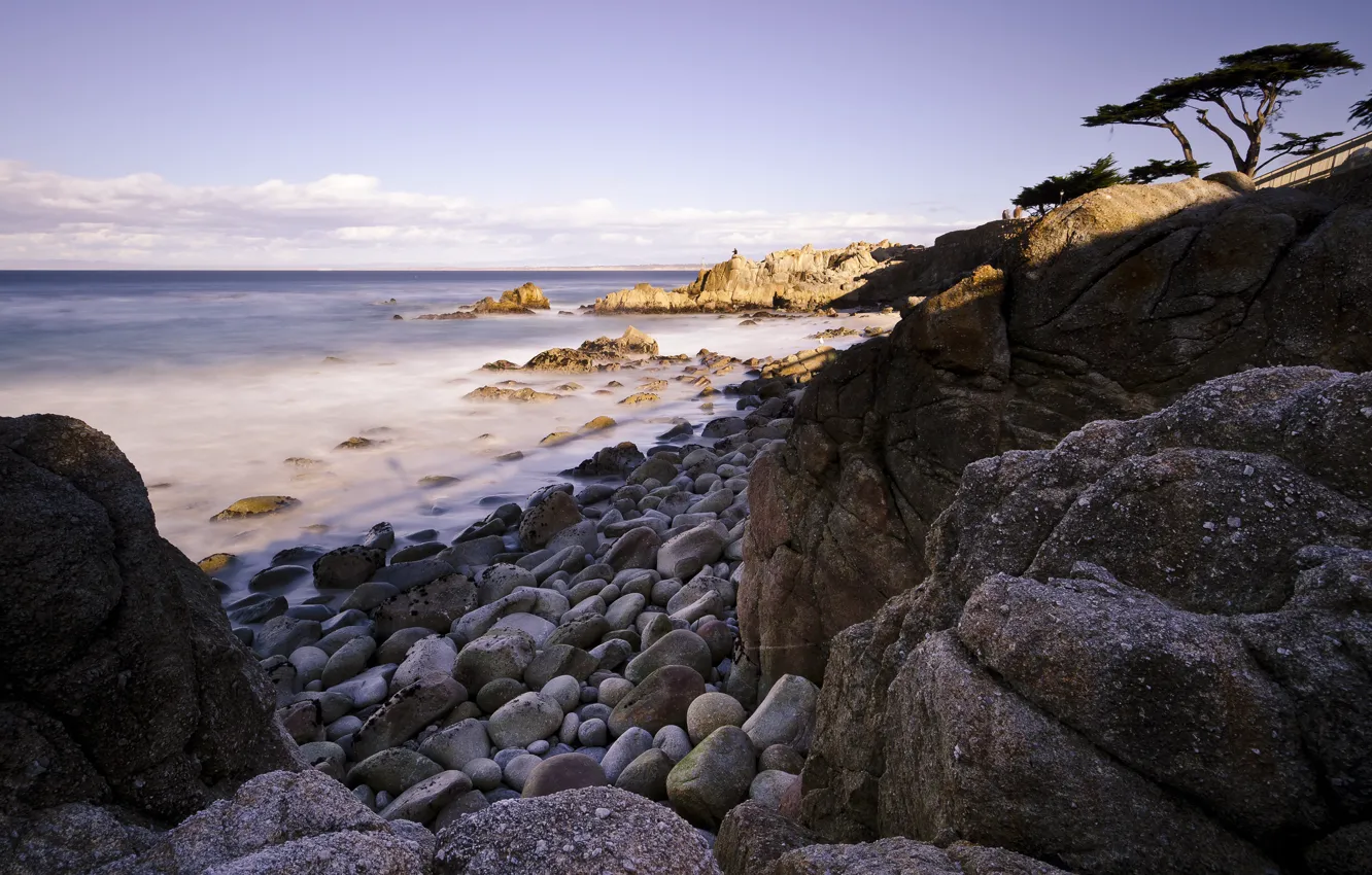 Photo wallpaper beach, trees, stones, rocks, USА, Pacific Grove Acres, Pacific Grove