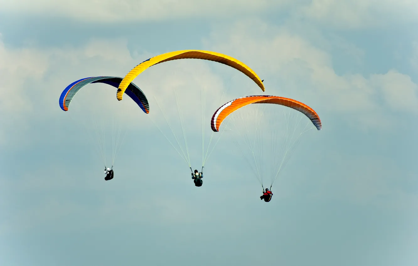 Photo wallpaper photo, The sky, Sport, Three, Parachuting, skydiving