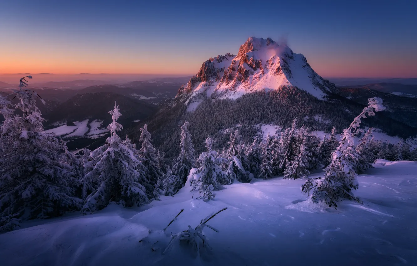 Photo wallpaper winter, forest, snow, landscape, sunset, mountains, nature, Slovakia