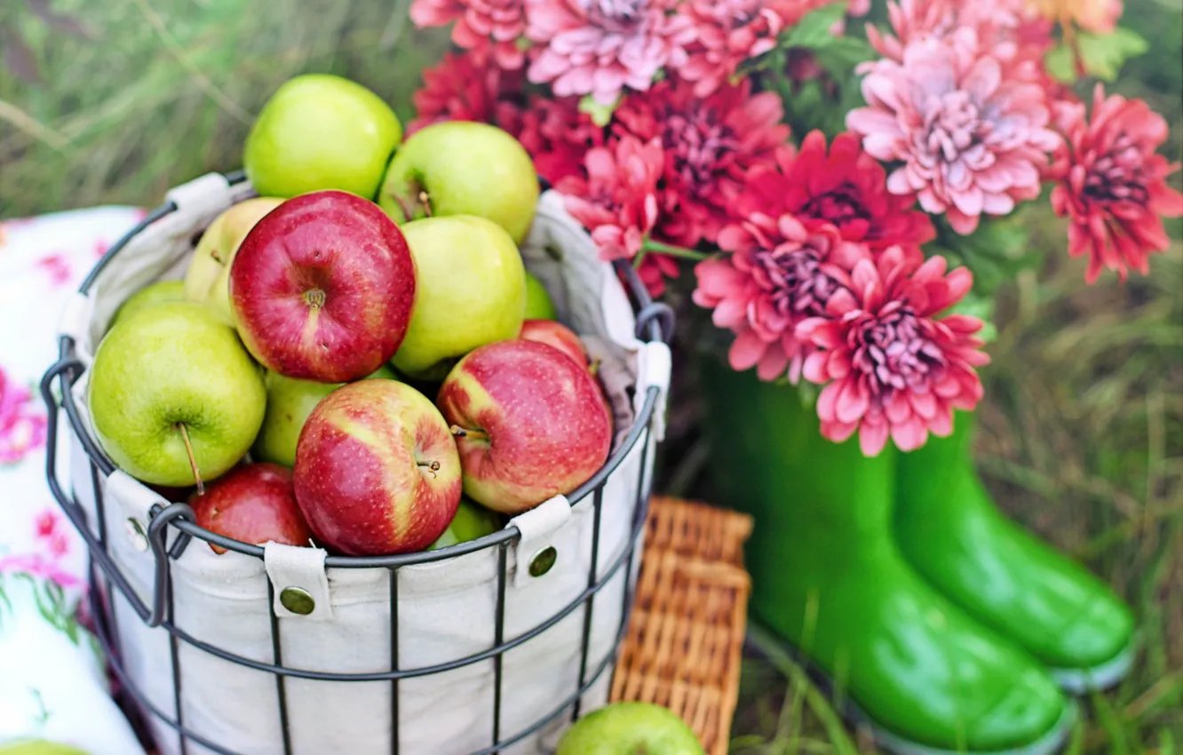 Photo wallpaper grass, flowers, basket, apples, boots, fruit, fruit, picnic