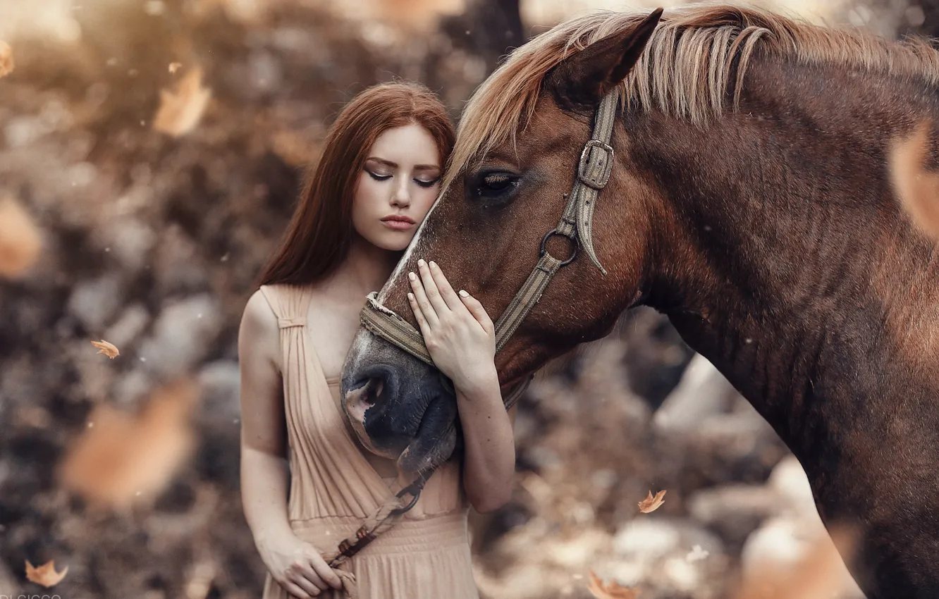 Photo wallpaper look, leaves, girl, horse, Alessandro Di Cicco