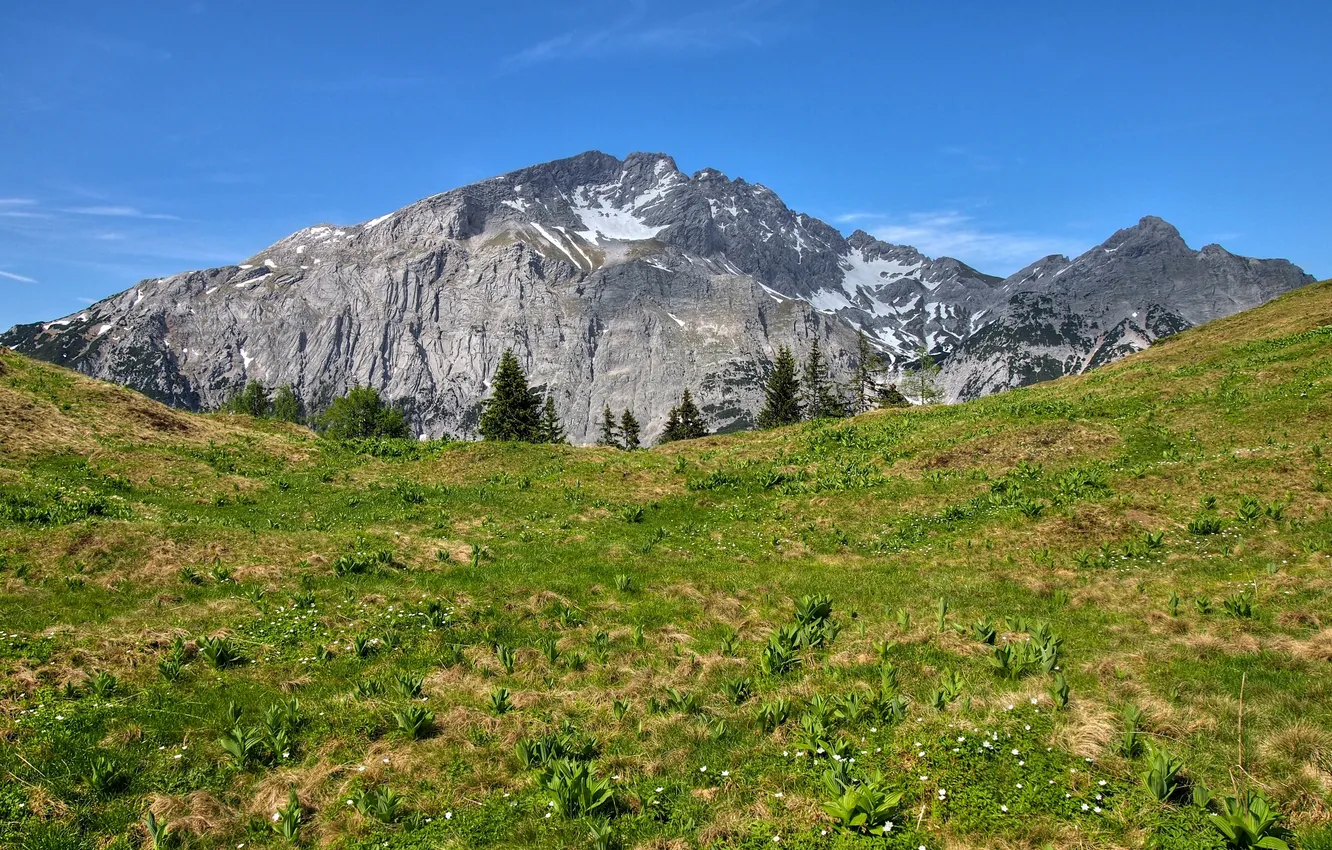 Photo wallpaper the sky, mountains, glade, ate