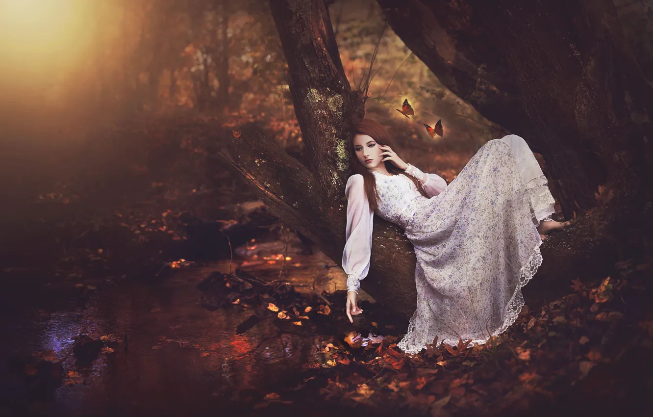 Photo wallpaper autumn, forest, girl, butterfly, stream, tree, mood, dress