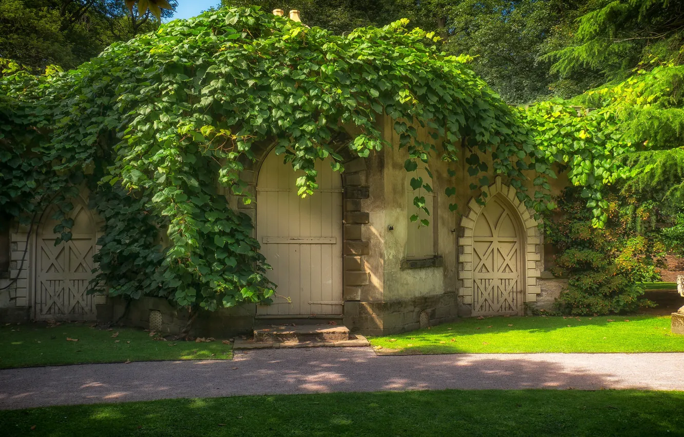 Photo wallpaper greens, house, door, arch, fabulously