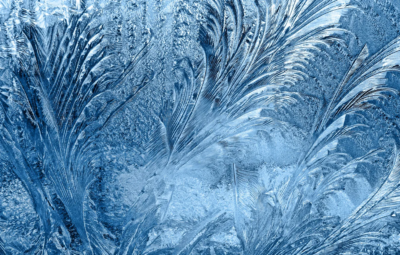 Photo wallpaper glass, frozen, frosted