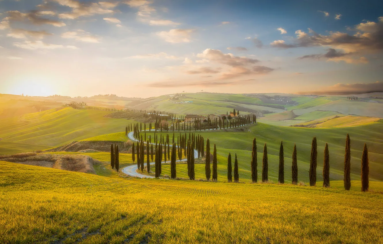 Photo wallpaper road, field, the sky, grass, clouds, fog, dawn, hills
