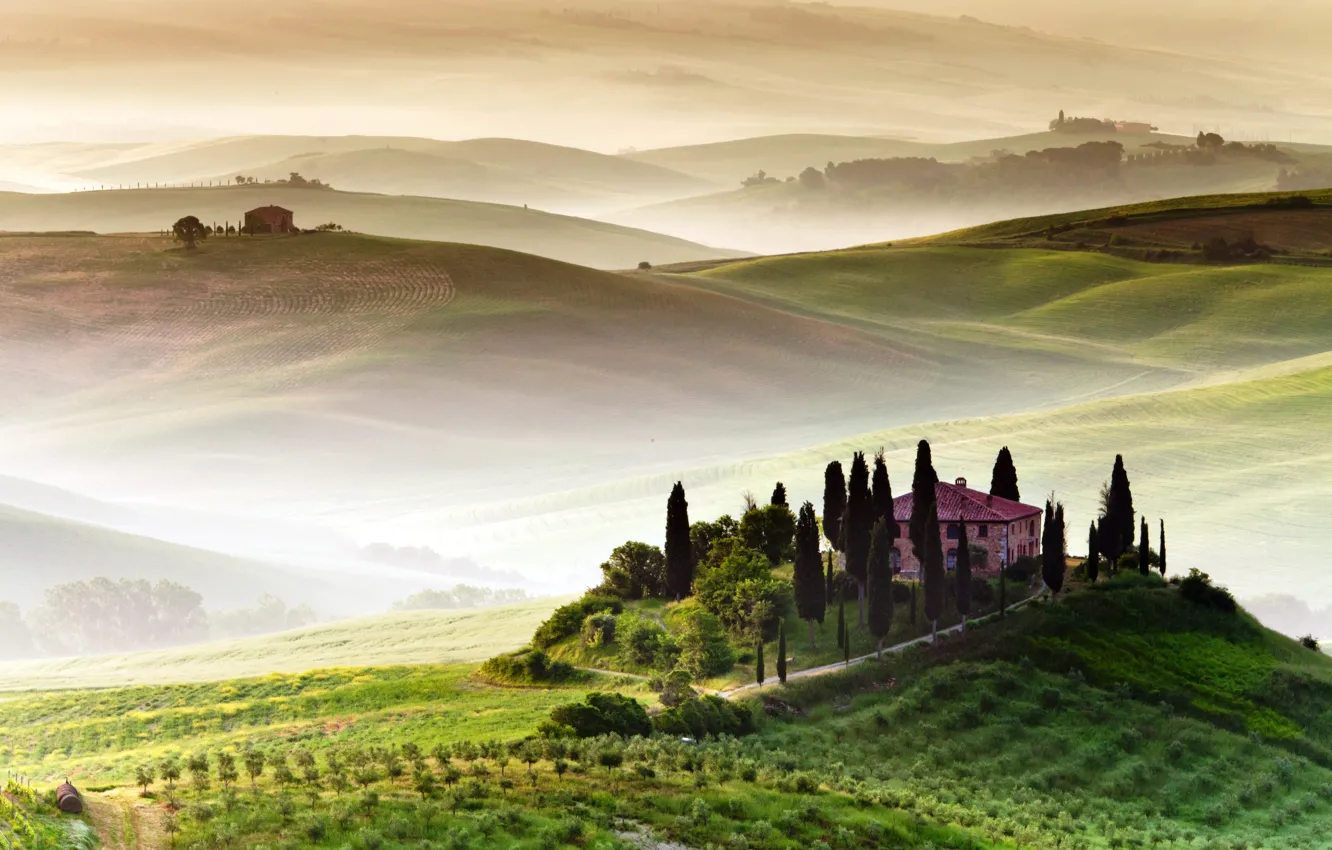 Photo wallpaper field, trees, fog, hills, home, space, Italy, Tuscany