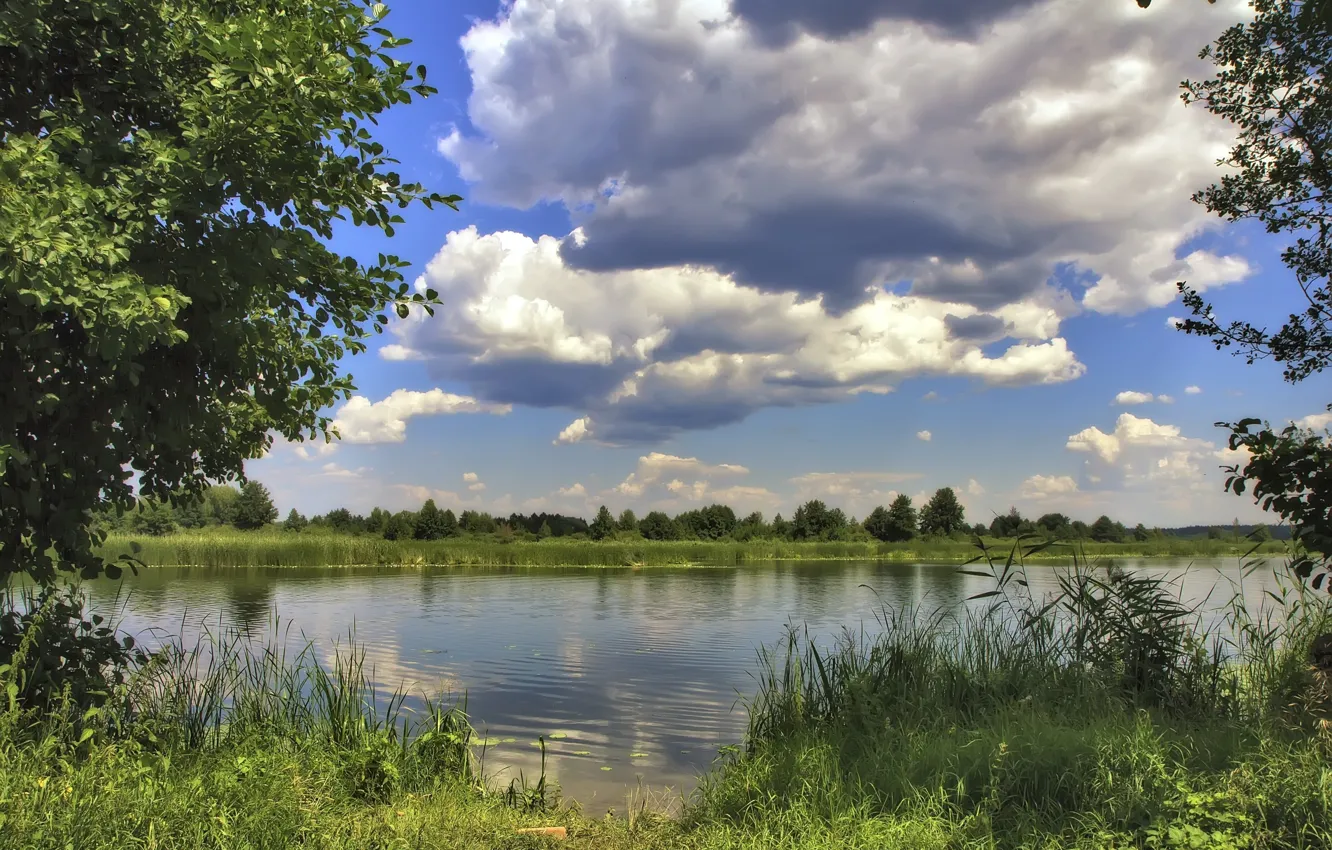 Photo wallpaper greens, the sky, nature