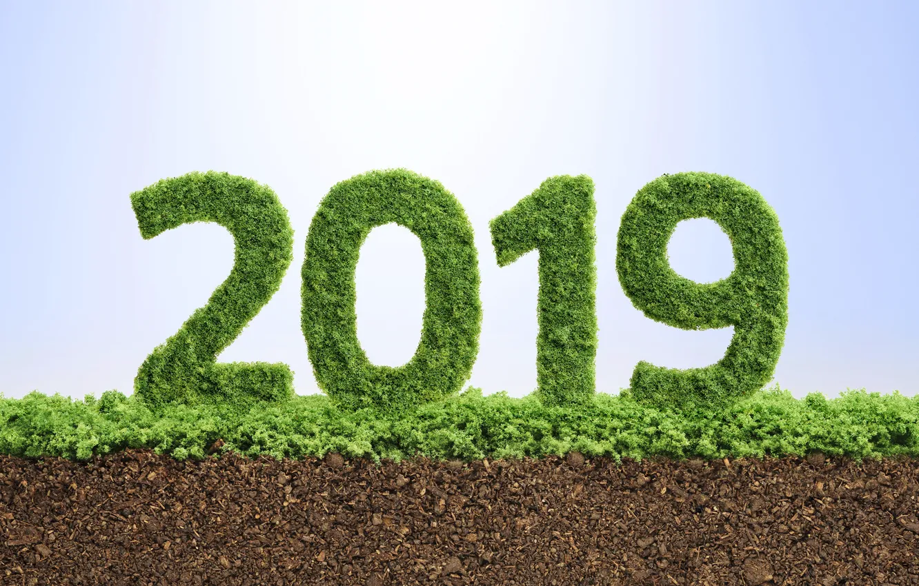 Photo wallpaper new year, texture, figures, New Year, 2019