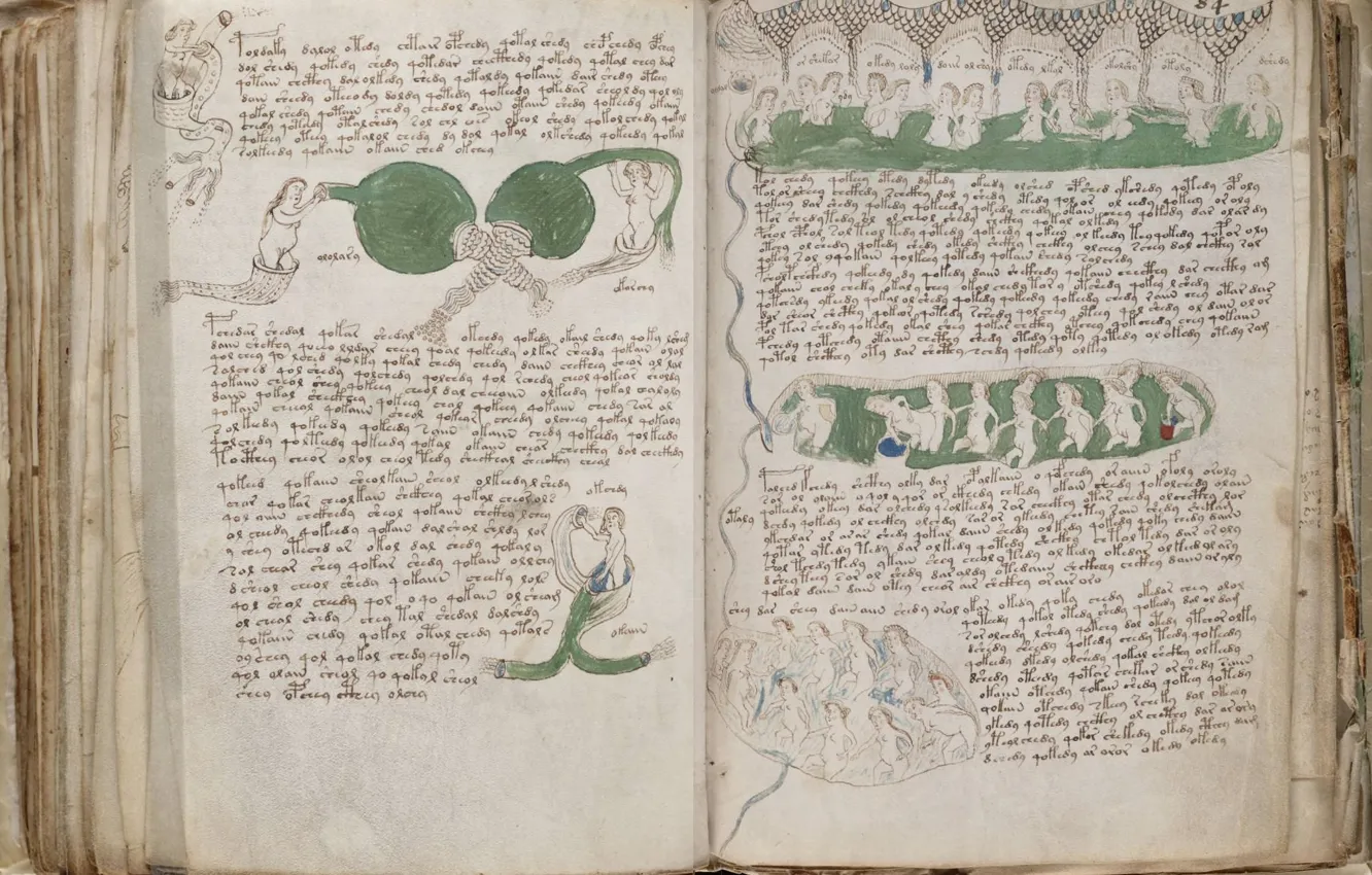 Photo wallpaper Book, Voynich, The manuscript, The Voynich Manuscript, Manuscript, Voynich