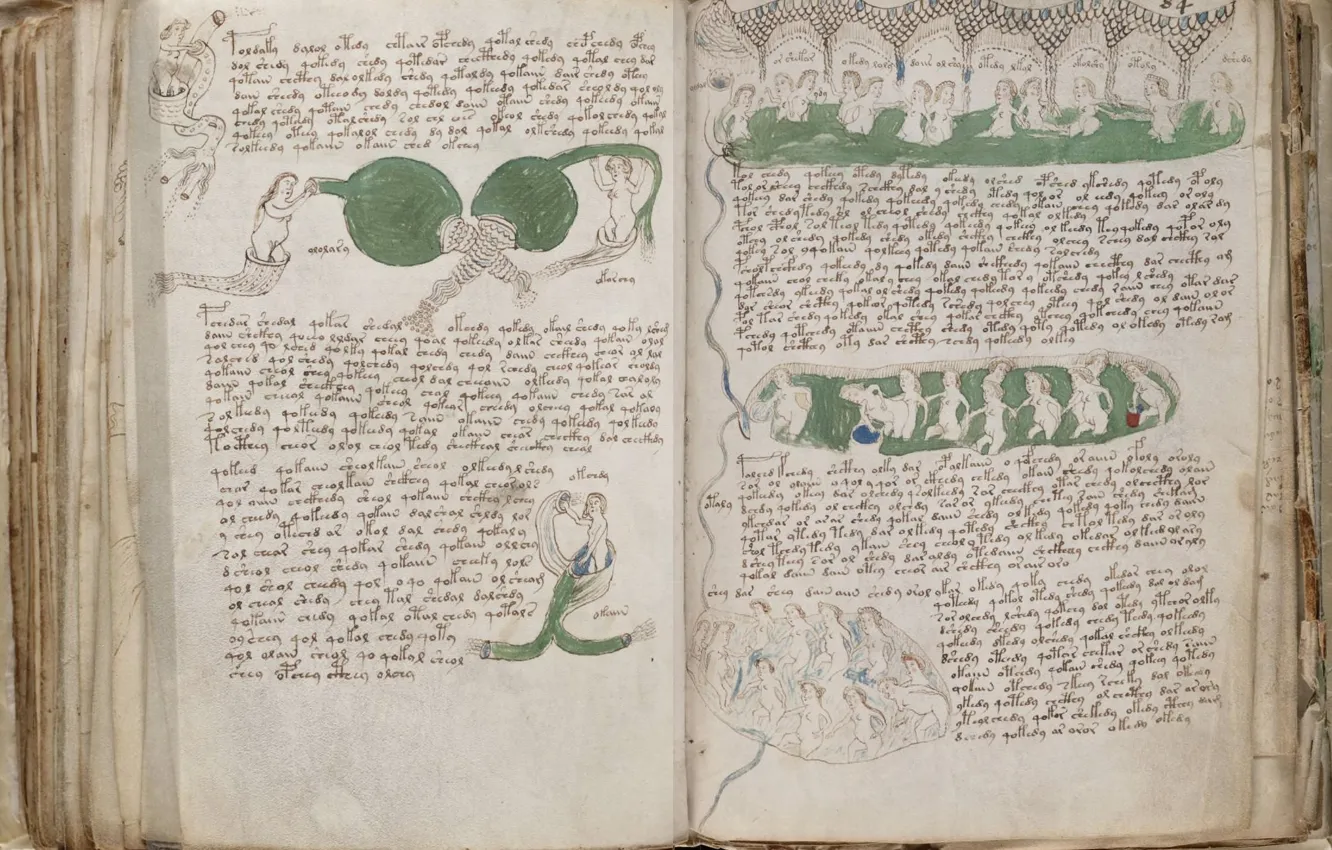 Photo wallpaper book, the manuscript, Voynich, The Voynich Manuscript, Manuscript, Voynich