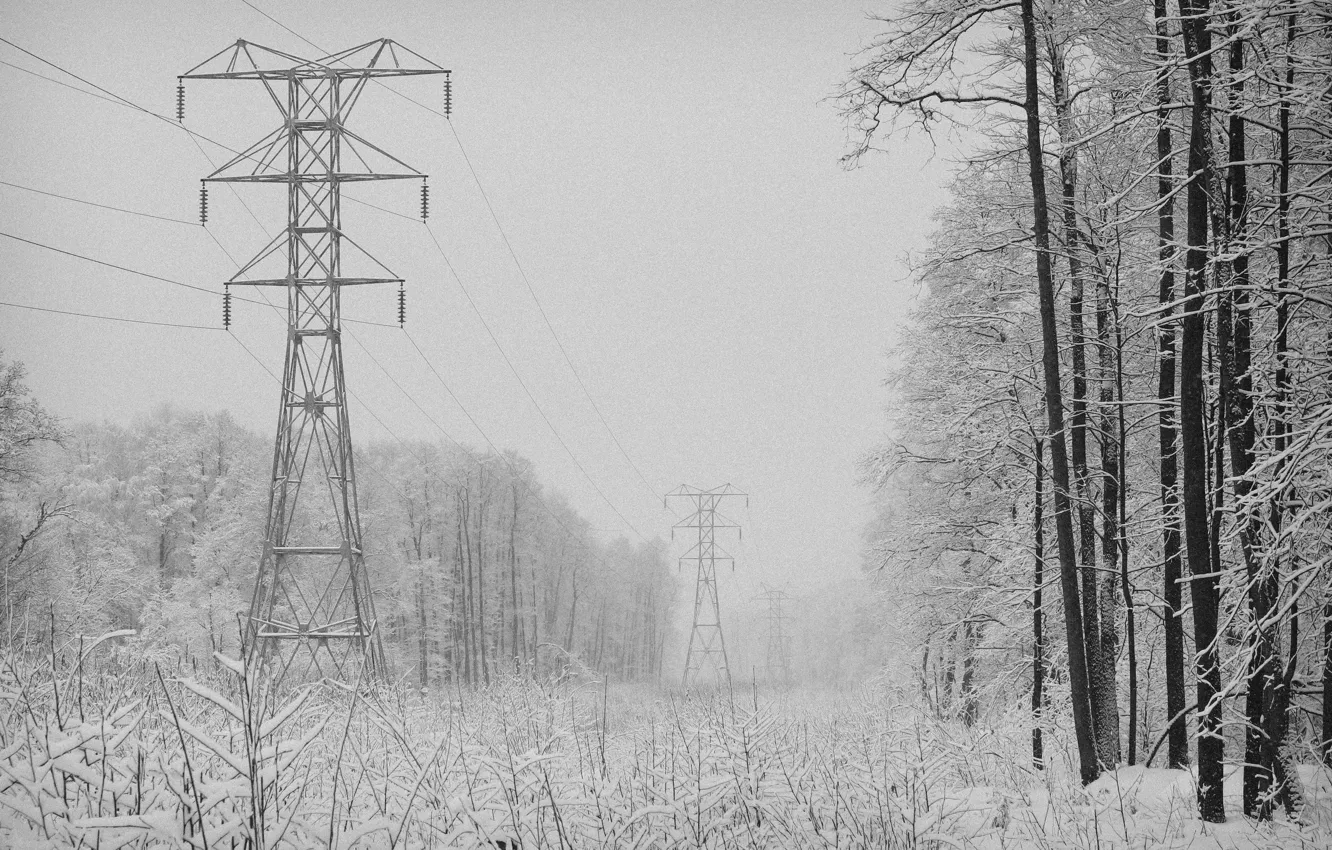 Photo wallpaper winter, snow, trees, power lines