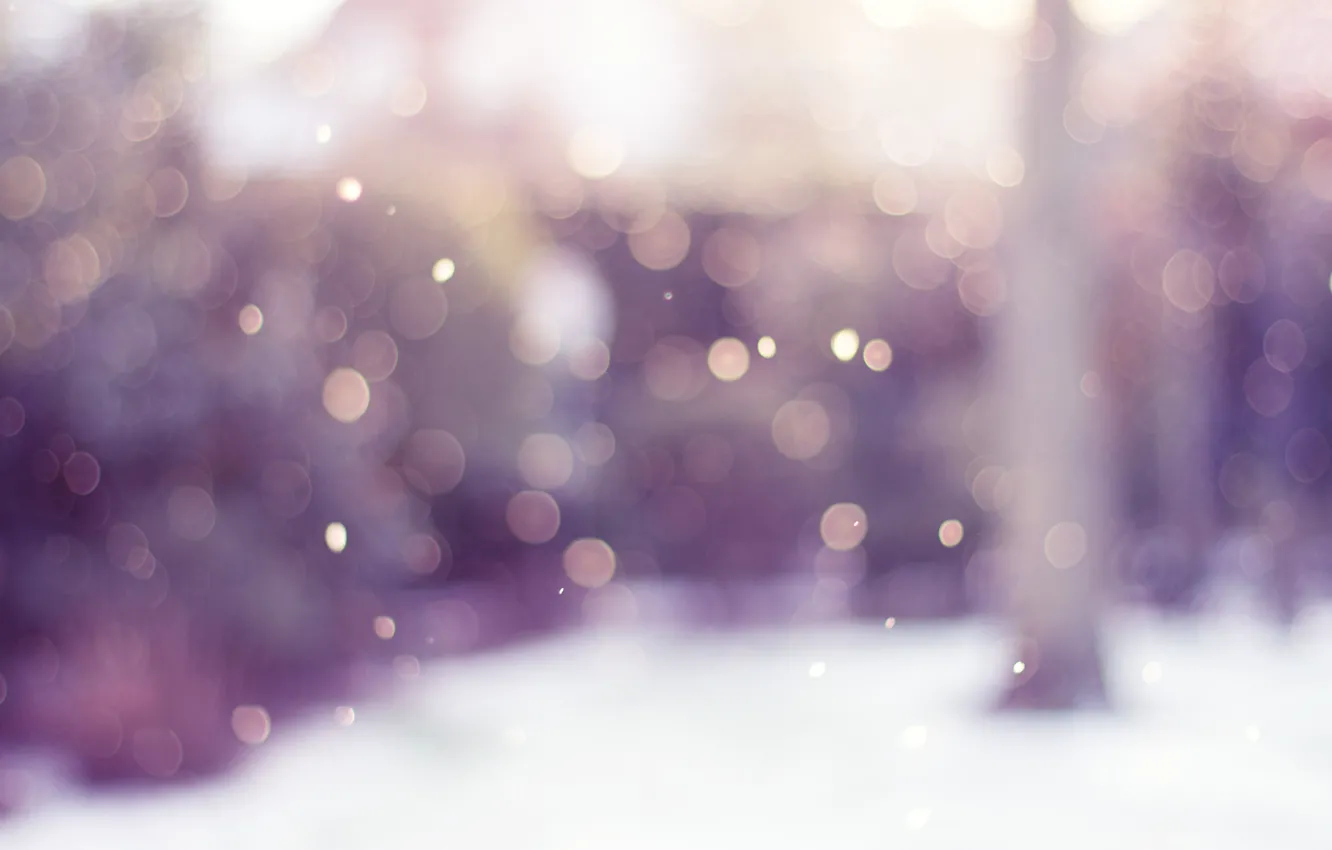 Photo wallpaper circles, abstraction, paint, wallpapers, abstraction