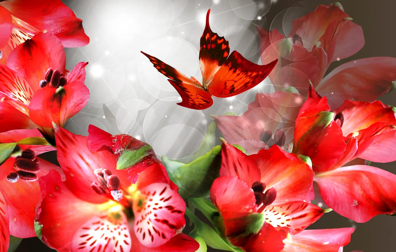 Photo wallpaper flowers, collage, butterfly, petals, postcard