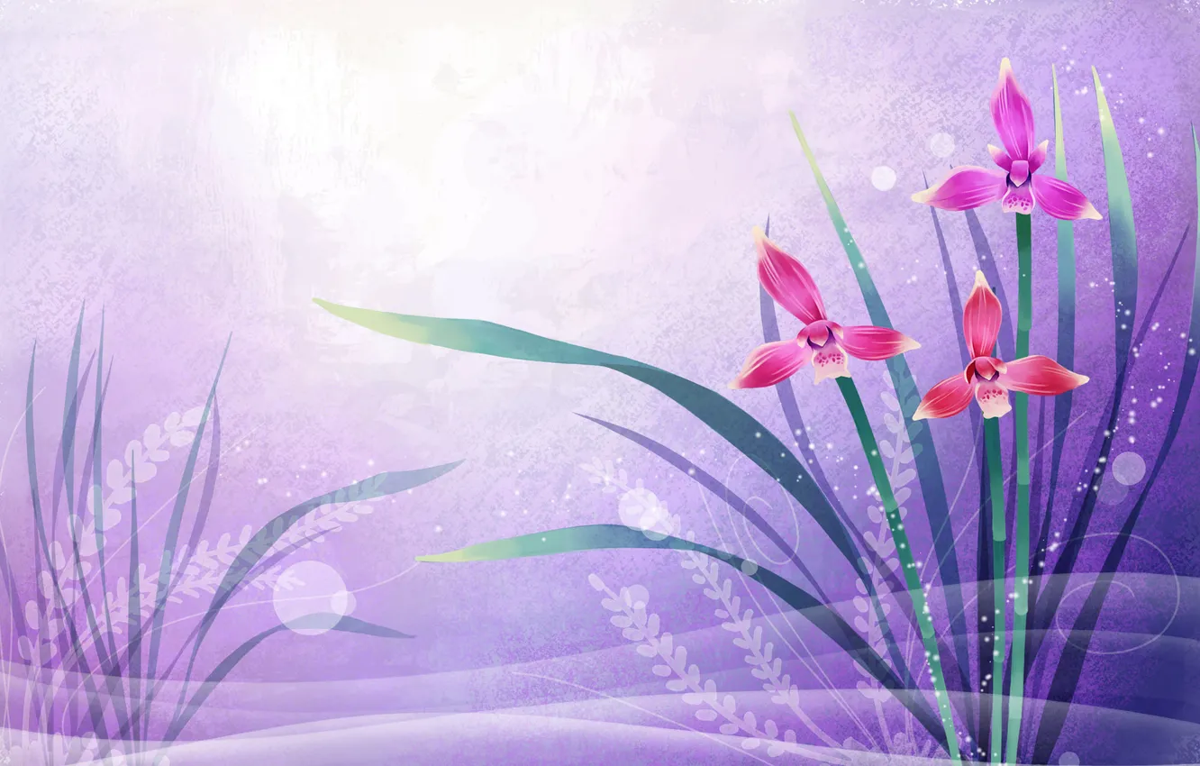 Photo wallpaper leaves, light, Wallpaper, figure, petals, postcard, applique