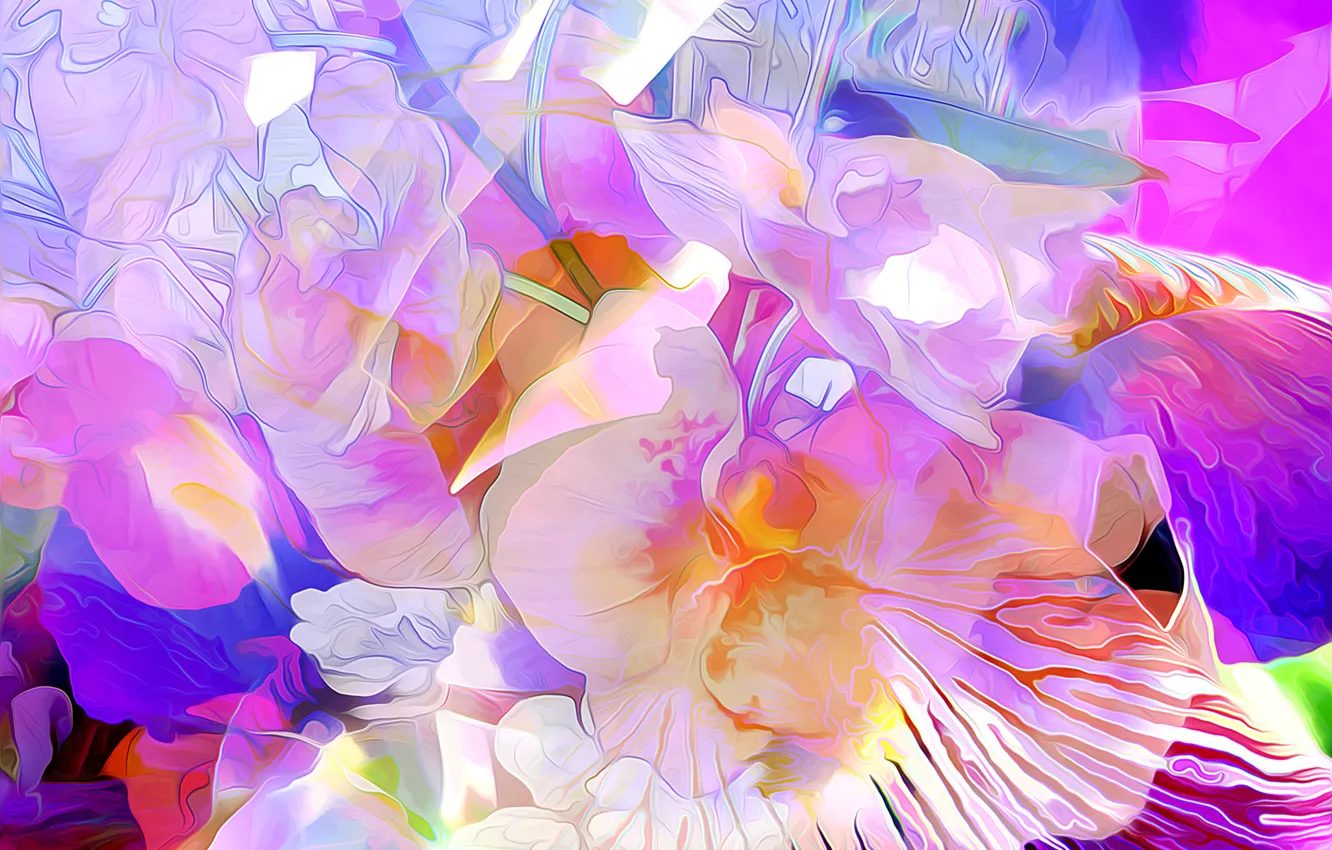 Photo wallpaper flowers, nature, rendering, plant, petals