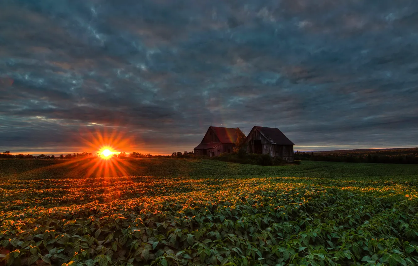 Photo wallpaper field, clouds, dawn, Canada, house, the rays of the sun, Quebec
